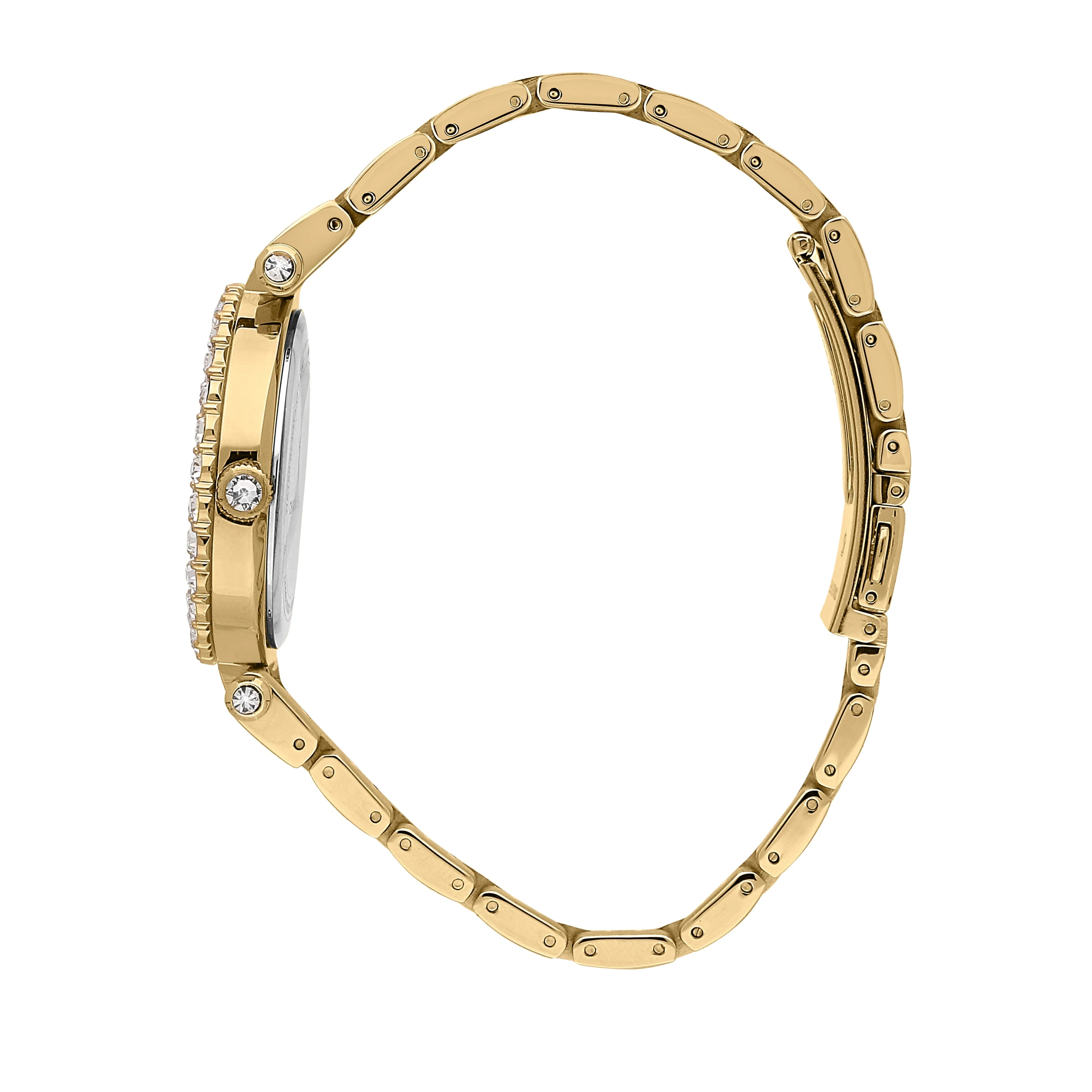 Chiara Ferragni LadyLike Gold 36mm Watch