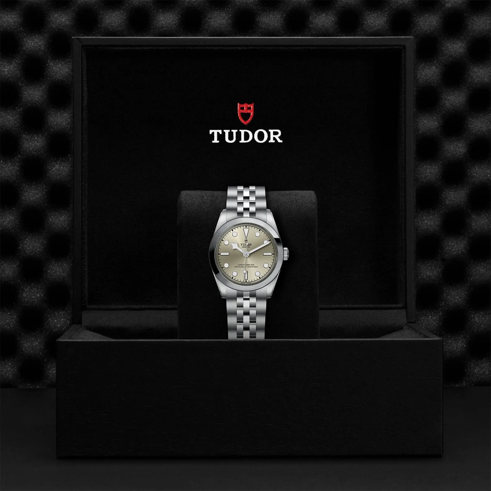 TUDOR Black Bay 31/36/39/41 31Mm Steel Case - M79600-0003