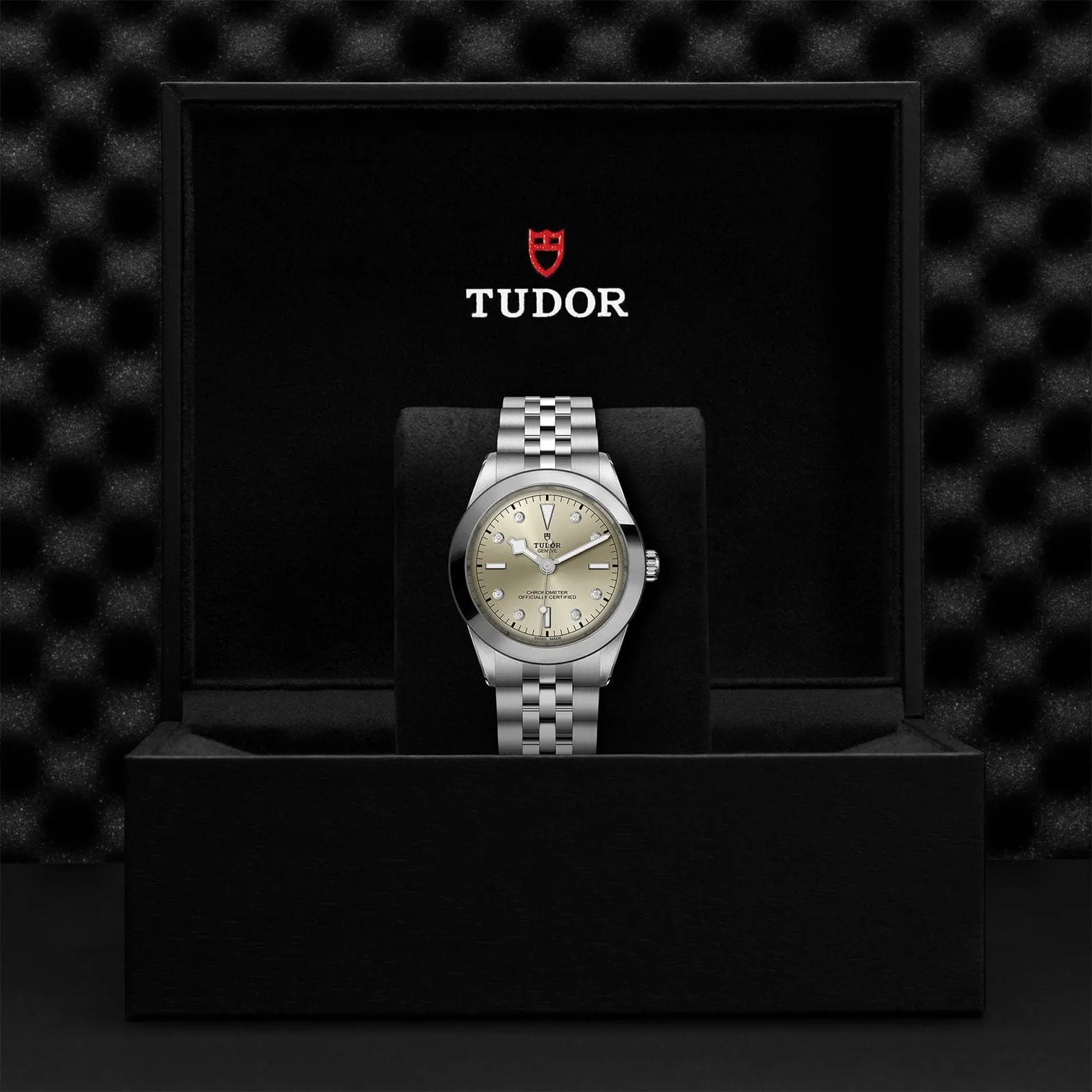 TUDOR Black Bay 31/36/39/41 39Mm Steel Case - M79660-0006