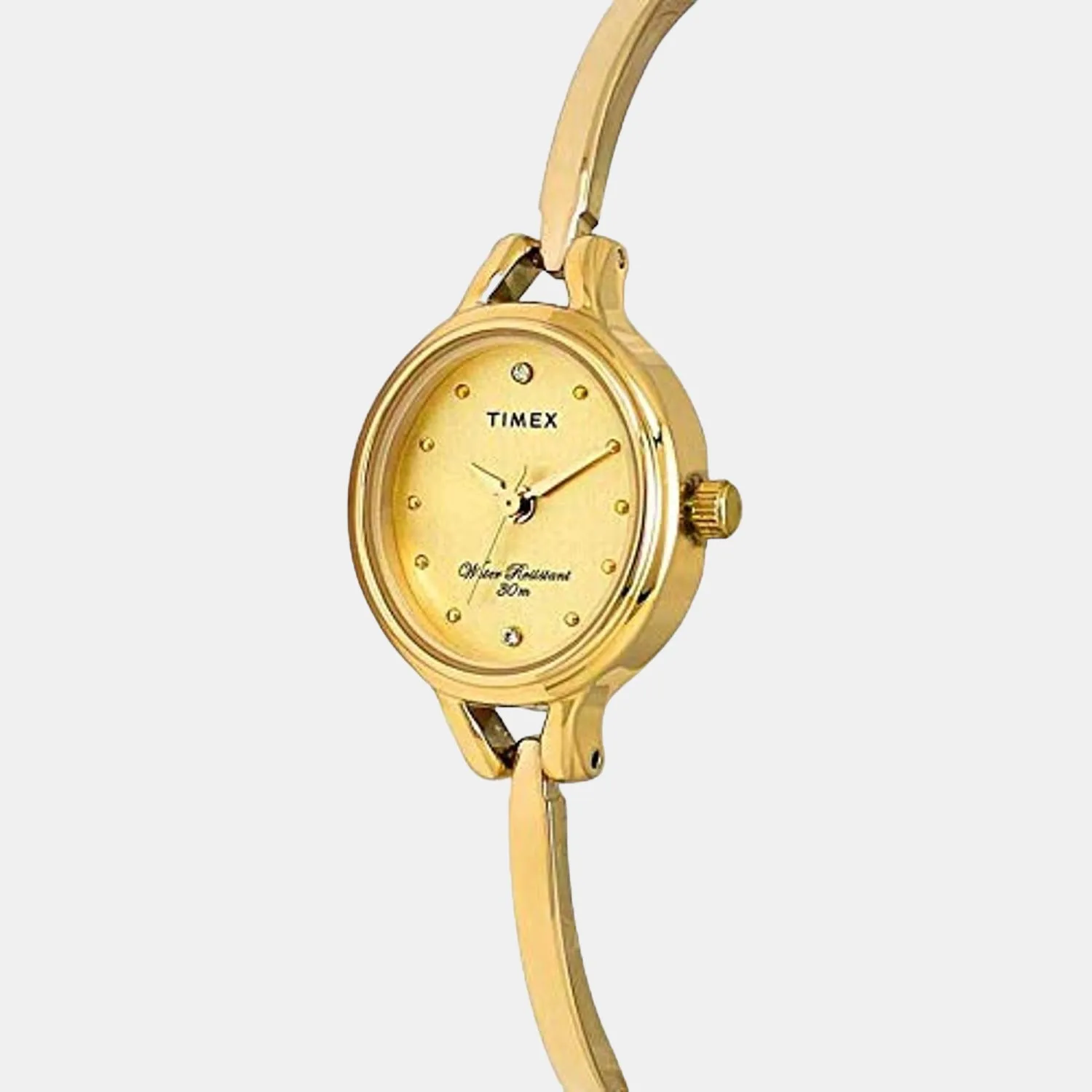 Women Gold Analog Brass Watch TW0TL9311